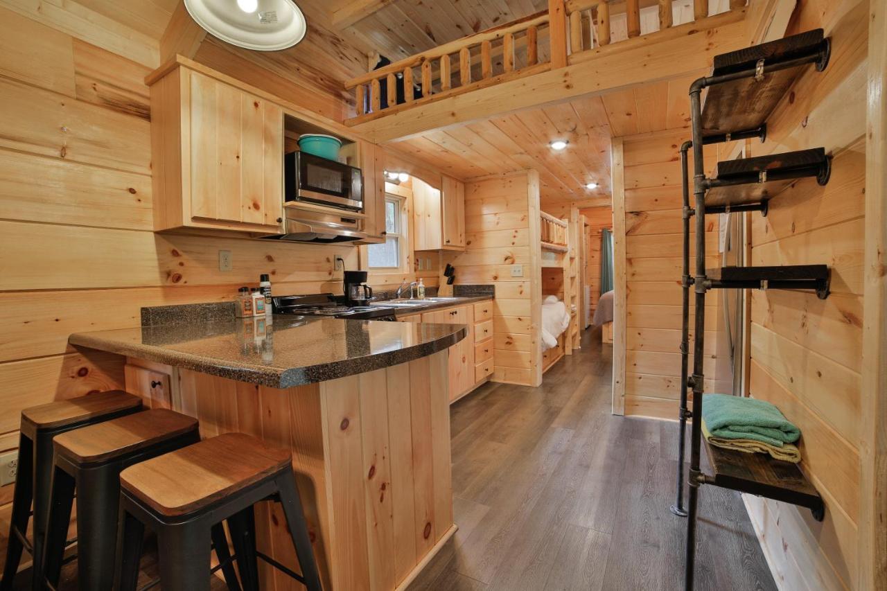 Eden Cabin Forested Tiny Home On Lookout Mtn Chattanooga Ngoại thất bức ảnh