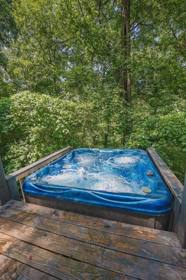 Eden Cabin Forested Tiny Home On Lookout Mtn Chattanooga Ngoại thất bức ảnh
